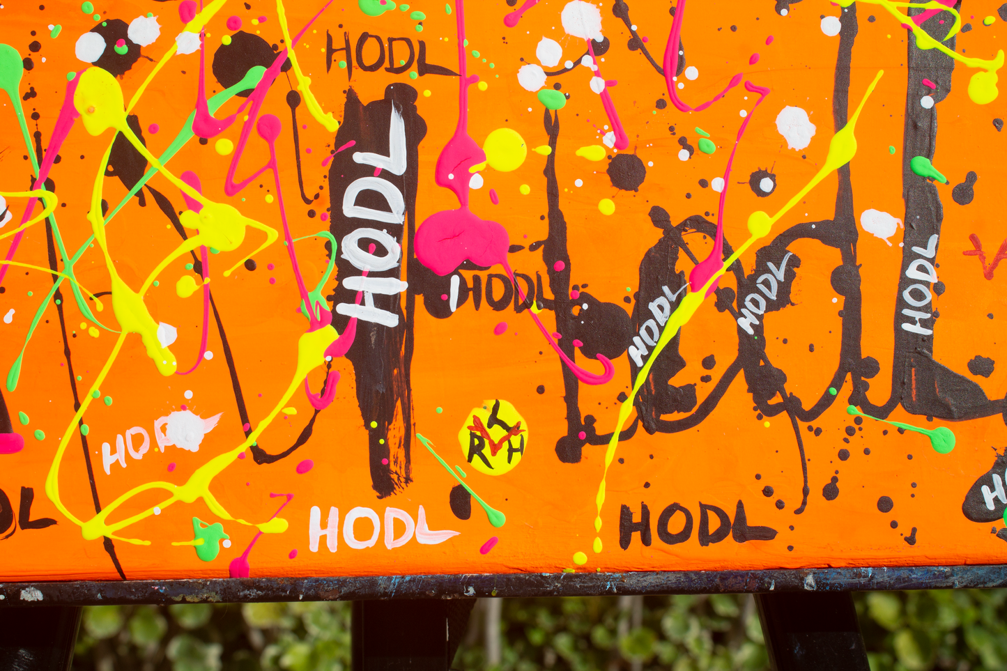 HODL: Emotional Resilience